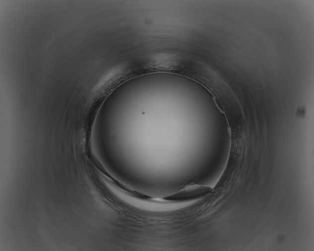 X0000093460552200710191126