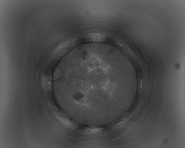 X0000093460553200710191126