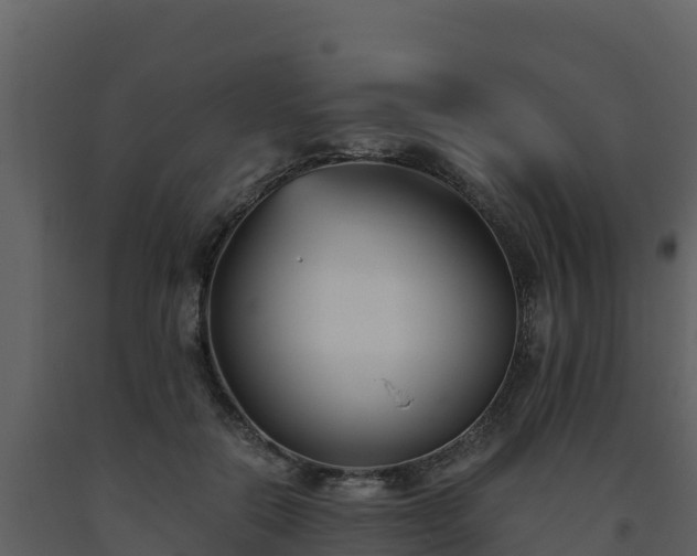 X0000093460554200710191126