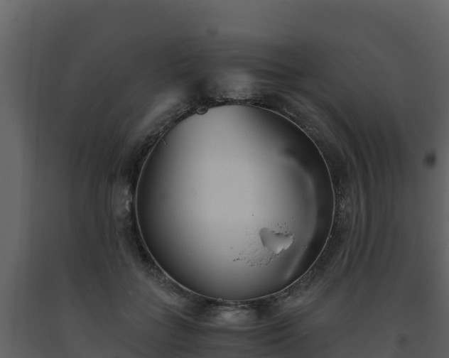 X0000093460555200710191126