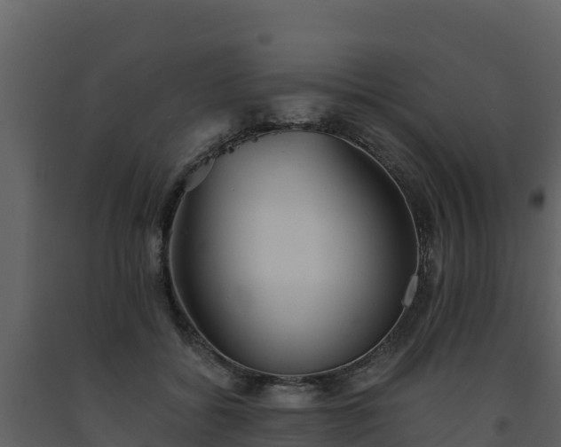 X0000093460556200710191126