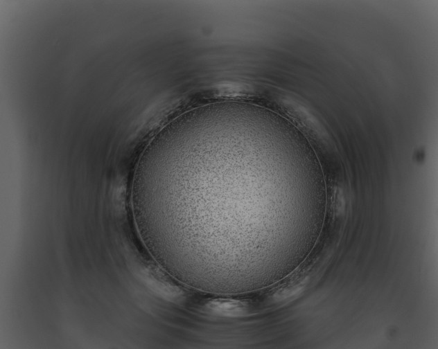 X0000093460557200710191126