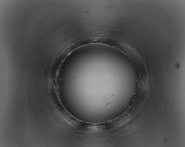 X0000093460558200710191126