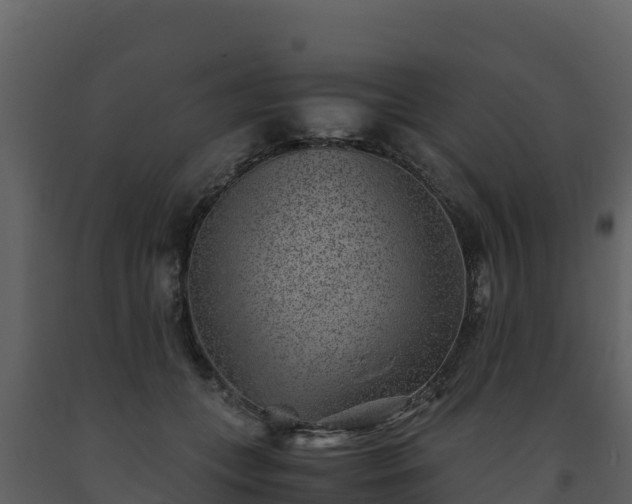 X0000093460559200710191126