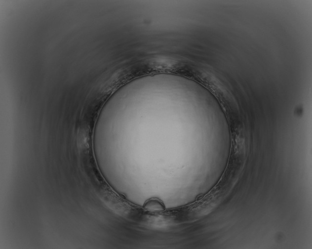 X0000093460561200710191126