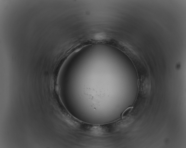 X0000093460562200710191126