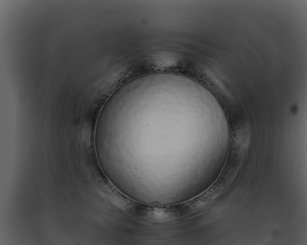 X0000093460565200710191126