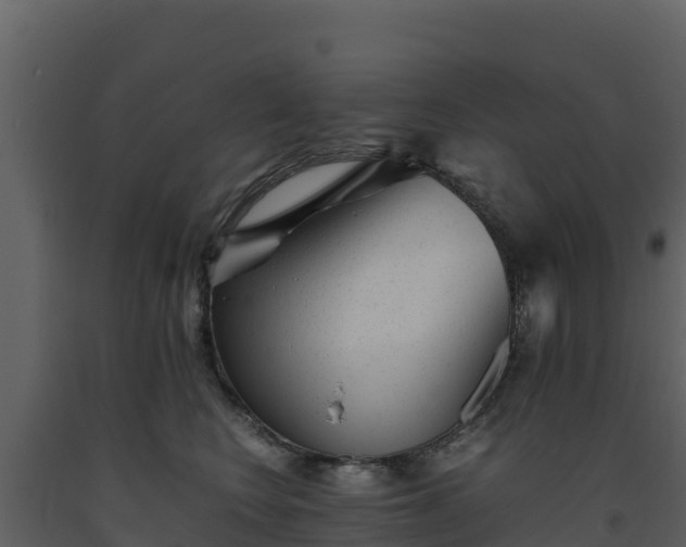 X0000093460566200710191126