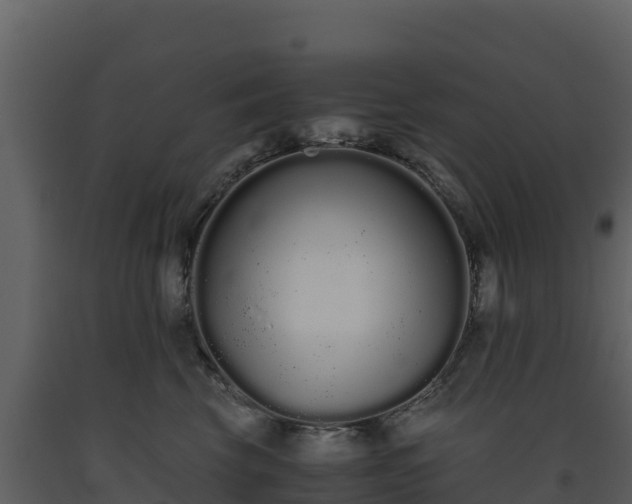 X0000093460569200710191126