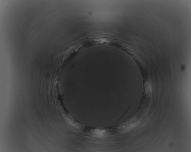 X0000093460570200710191126