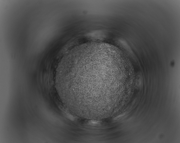 X0000093460573200710191126