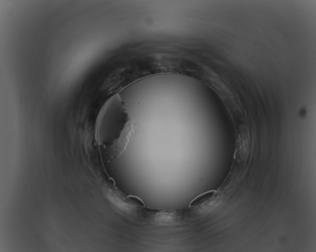 X0000093460574200710191126