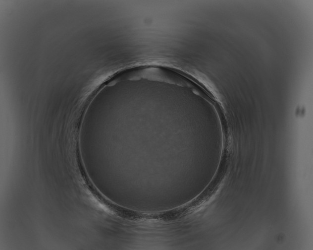 X0000093460577200710191126