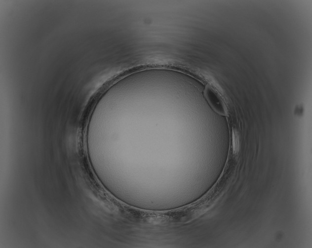 X0000093460579200710191126