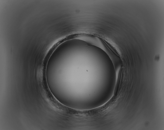 X0000093460580200710191126