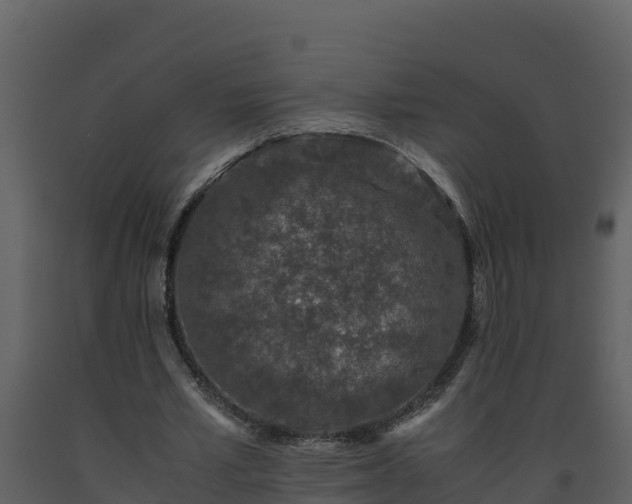 X0000093460581200710191126