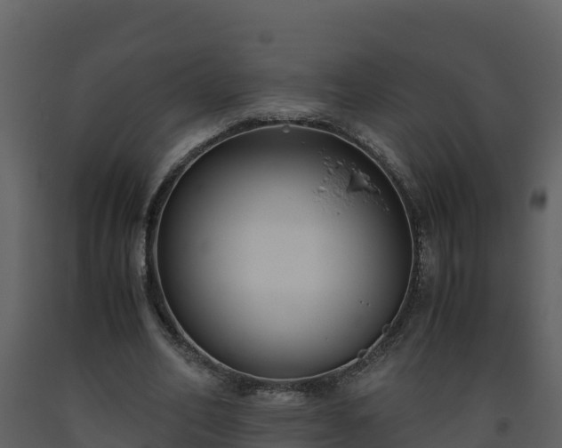 X0000093460582200710191126