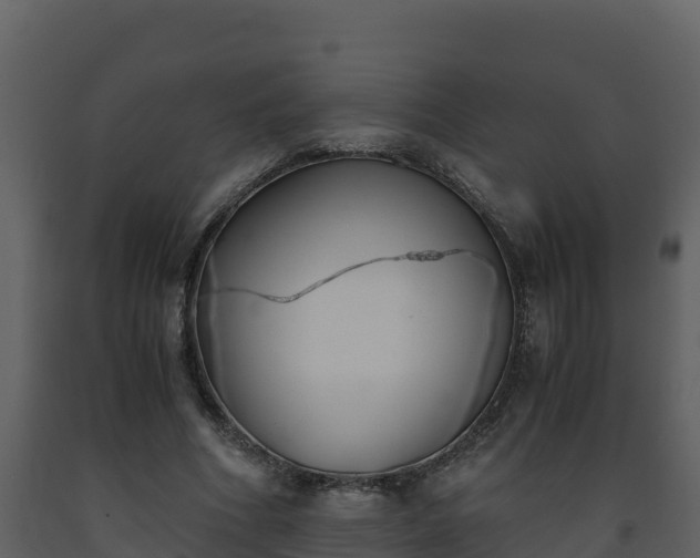 X0000093460586200710191126