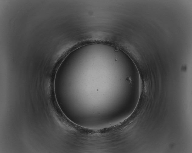 X0000093460588200710191126