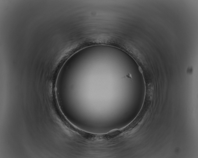 X0000093460589200710191126