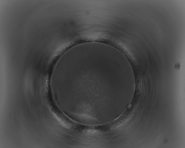 X0000093460590200710191126