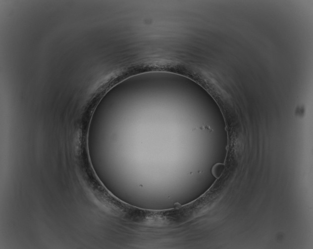 X0000093460591200710191126