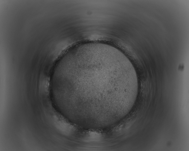 X0000093460592200710191125