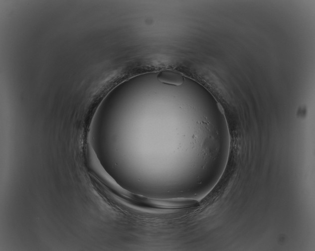 X0000093460593200710191125