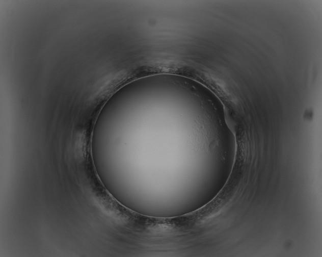 X0000093460594200710191125