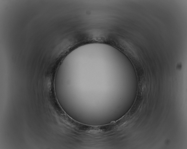 X0000093460595200710191125