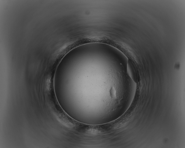 X0000093460596200710191125