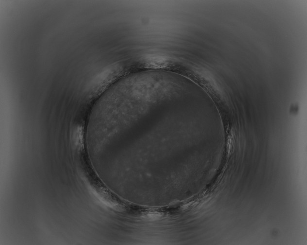 X0000093460598200710191125