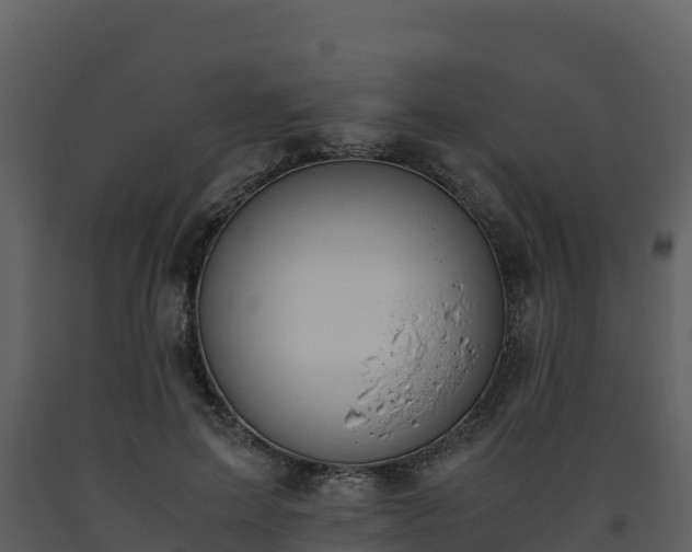 X0000093460599200710191125