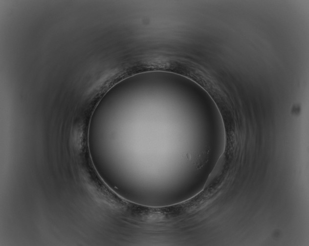 X0000093460600200710191125