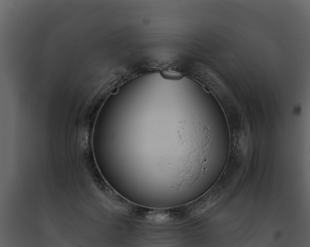 X0000093460602200710191125