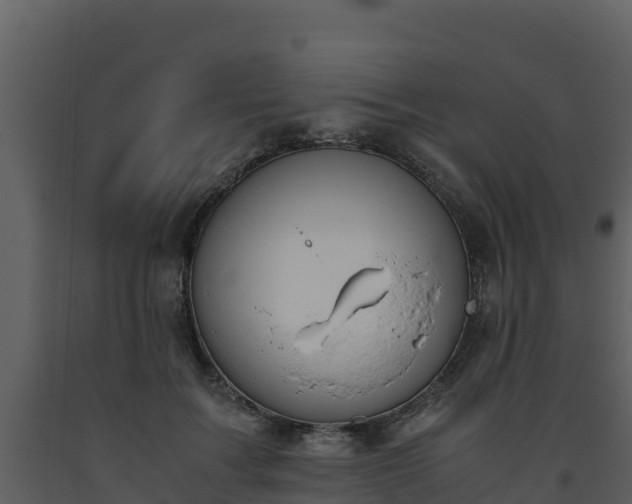 X0000093460603200710191125