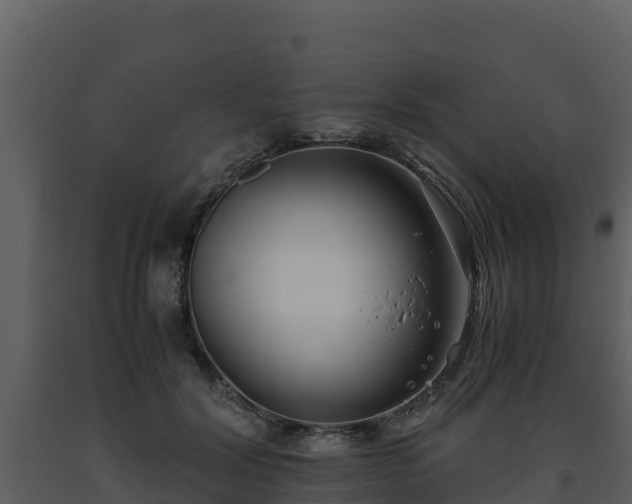 X0000093460604200710191125