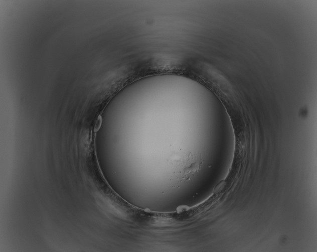 X0000093460605200710191125