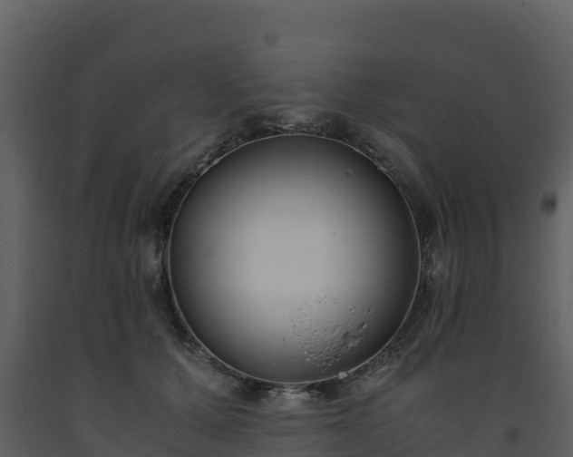 X0000093460607200710191125