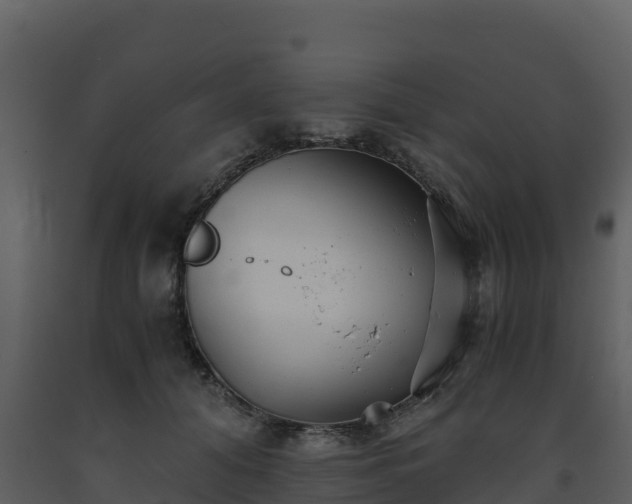 X0000093460608200710191125