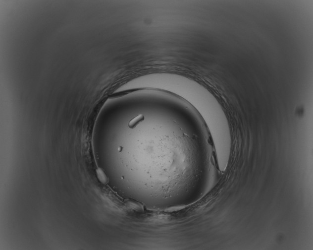 X0000093460609200710191125