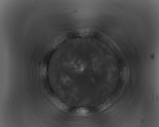 X0000093460610200710191125