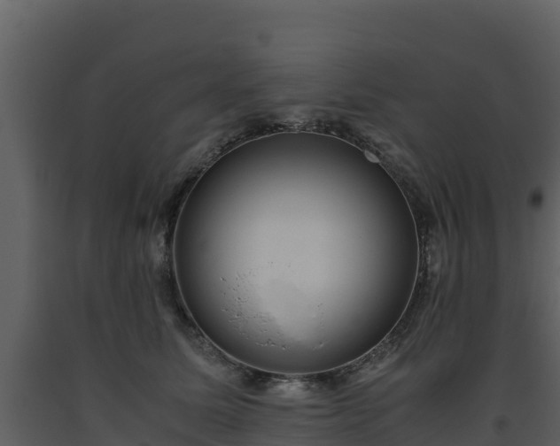 X0000093460611200710191125