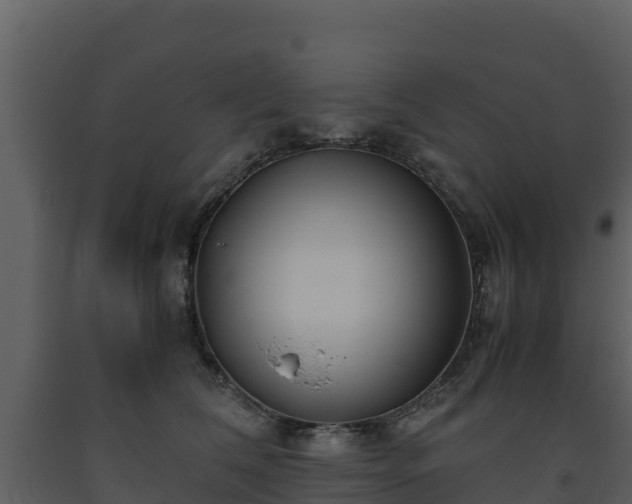 X0000093460612200710191125