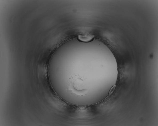 X0000093460613200710191125