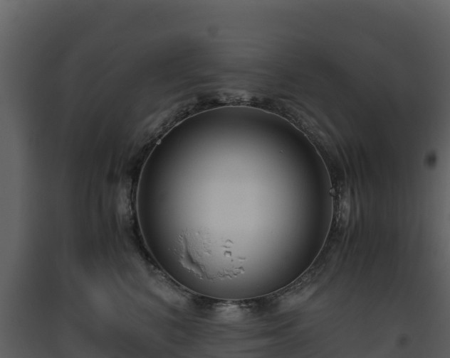 X0000093460616200710191125