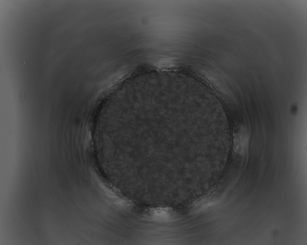 X0000093460618200710191125