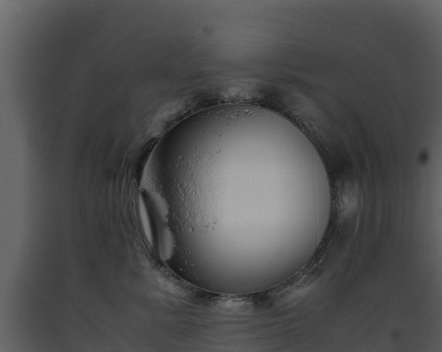 X0000093460619200710191125