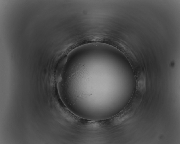 X0000093460620200710191125