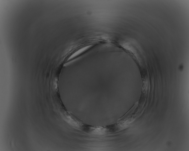 X0000093460621200710191125